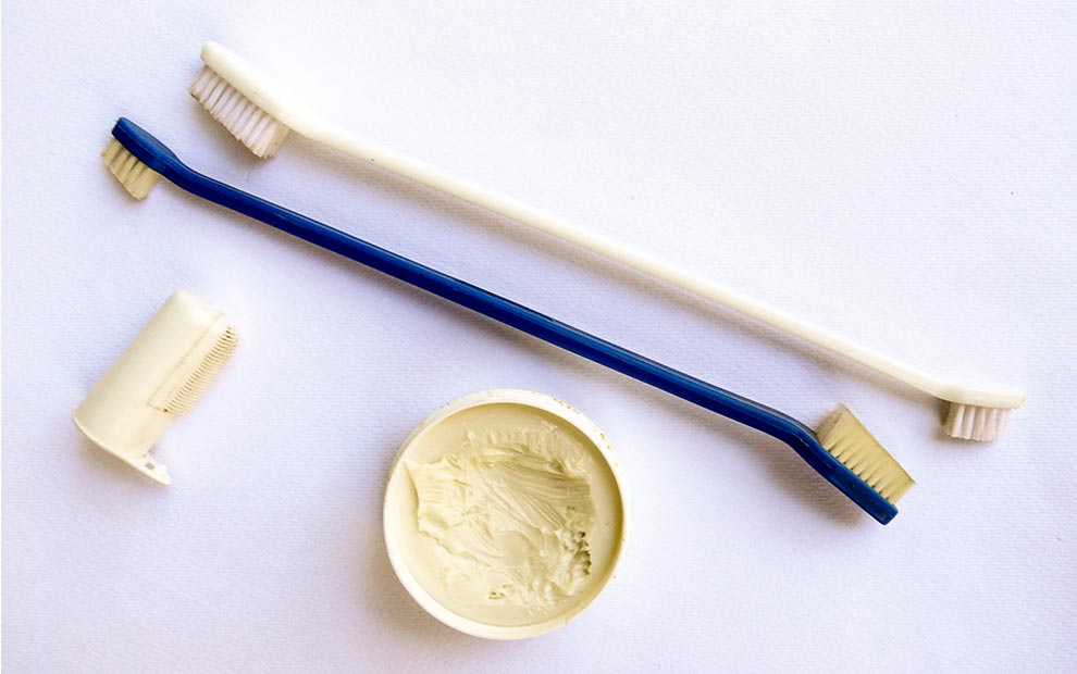 Canine Toothbrush Set Canine Toothbrush Set
