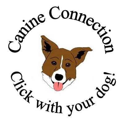 Positive Reinforcement Training by Cindy Ludwig, Canine Connection