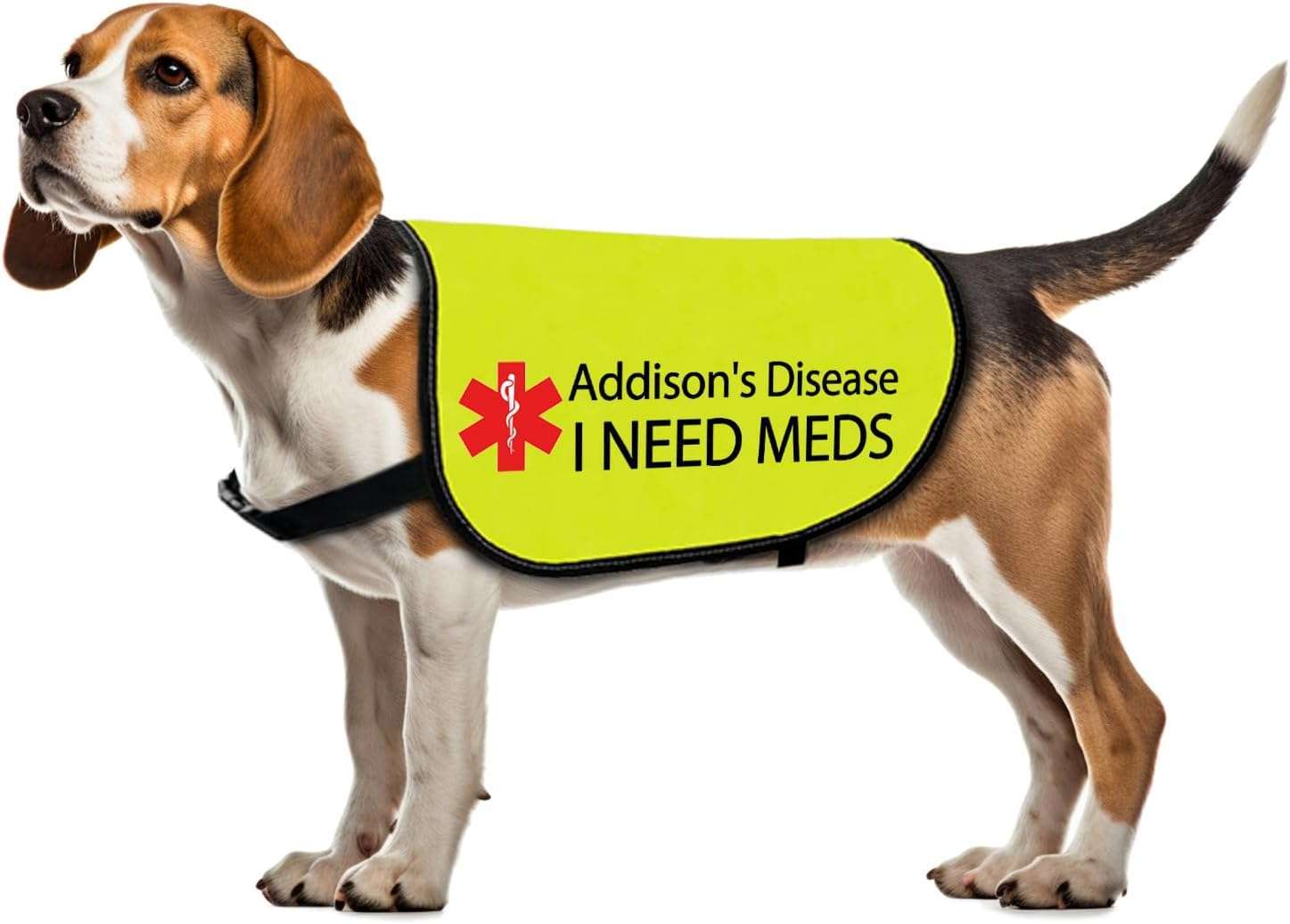 addisons-disease-dog-jacket Addisons Disease Dog Jacket Vest