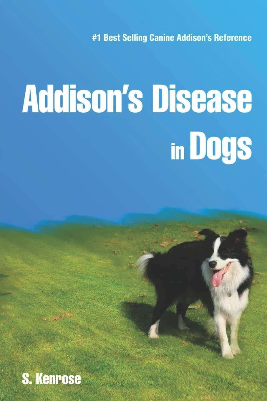 addisons-disease-in-dogs Addison's Disease in Dogs
