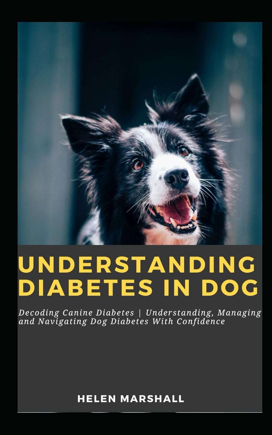 Understanding, Managing and Navigating Dog Diabetes With Confidence