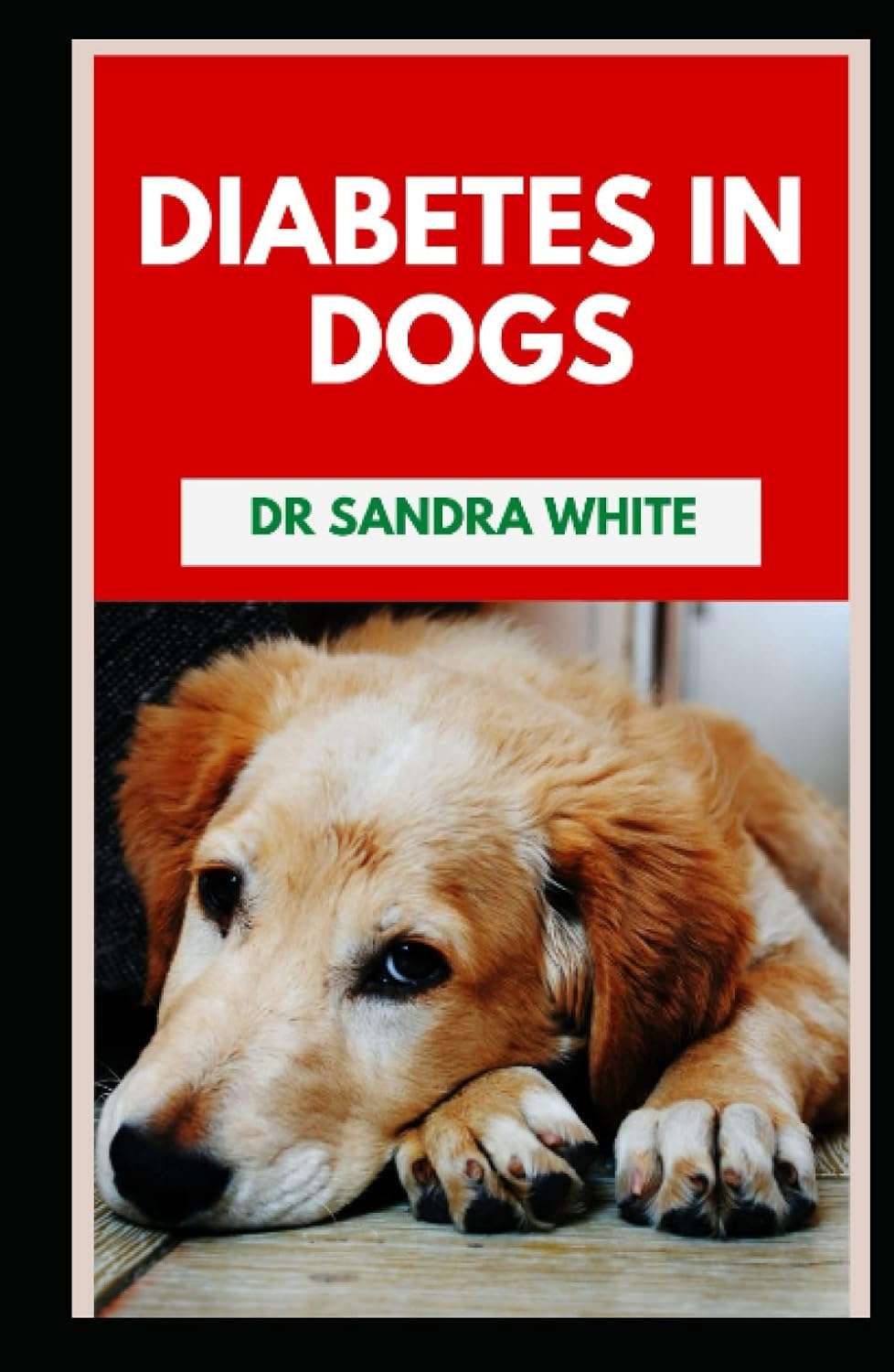 Diabetes In Dogs: Symptoms, Causes, Diagnosis, Treatments