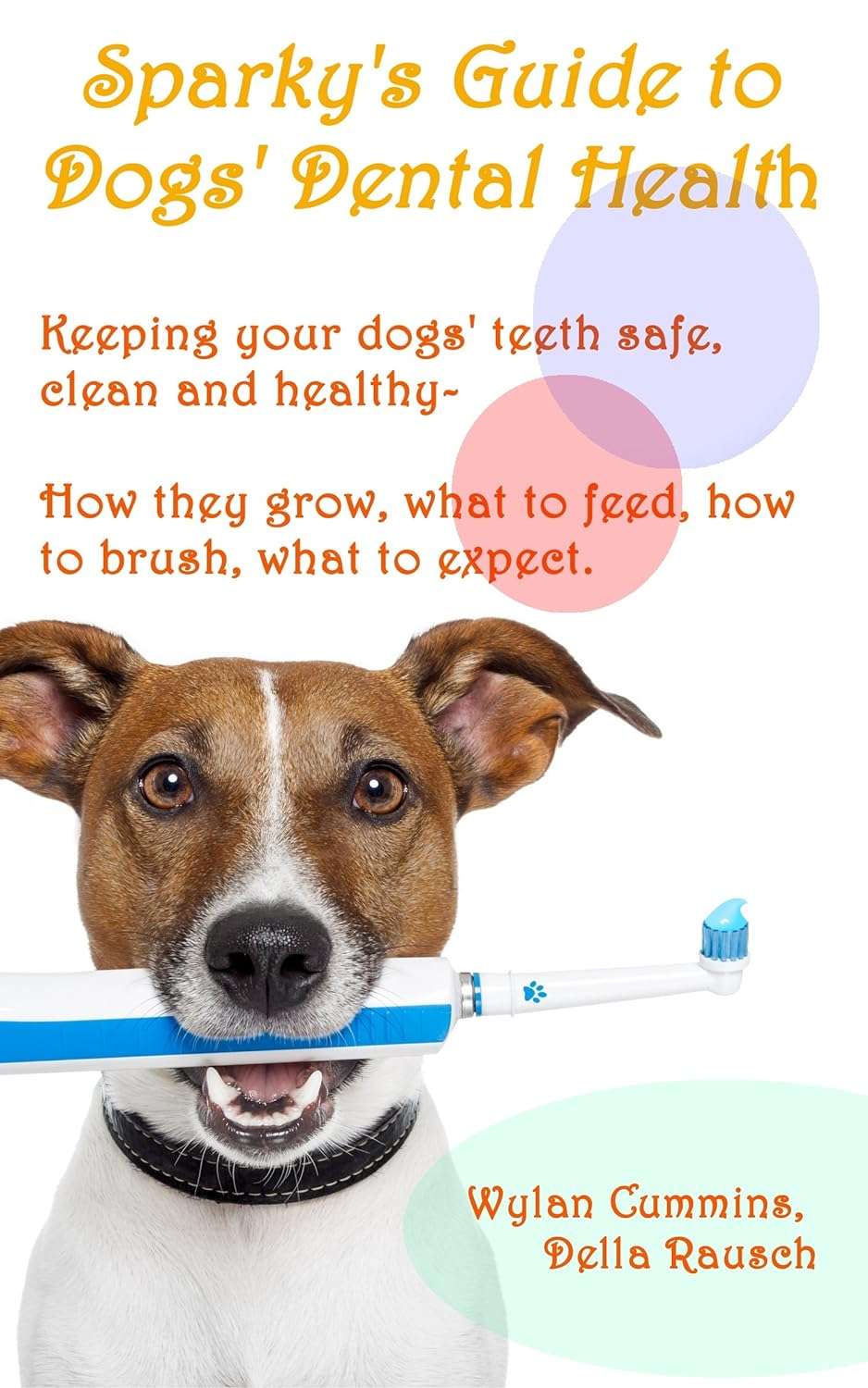 Dog Dental Care - Dog Heath and Care Articles - Getting to Know Dogs