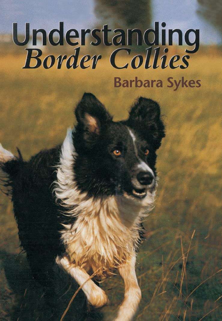 Understanding Border Collies by Barbara Sykes