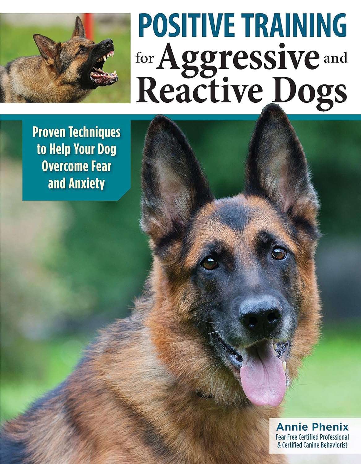 positive-training-agressive-dogs Positive Training for Aggressive Dogs book.
