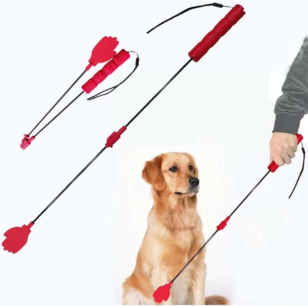 Dog target training tools.