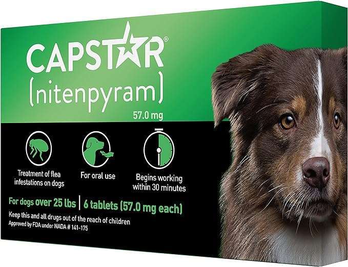Dog Parasite Control Dog parasite control.