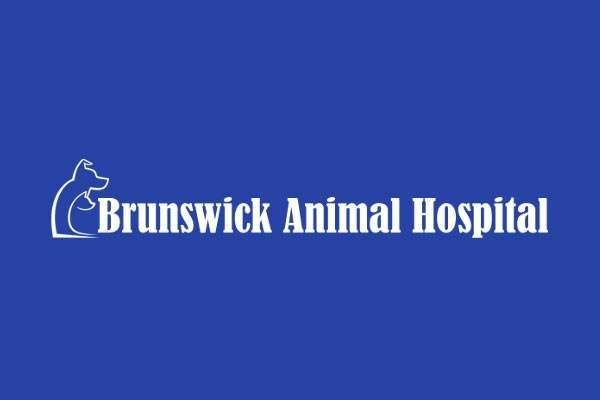 brunswick animal hospital 2