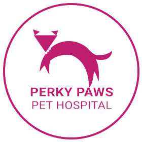 animal hospital mckinney tx 1a