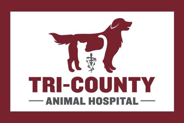 tri county animal hospital