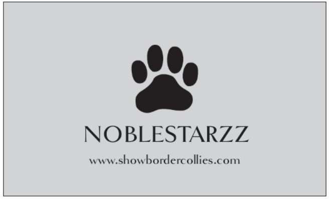 noblestazz boarding kennels