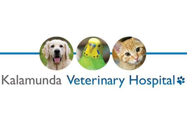 kalamunda vet hospital