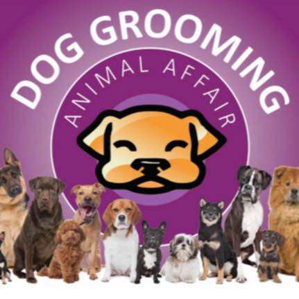 animal affair dog grooming