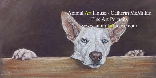 animal arthouse2